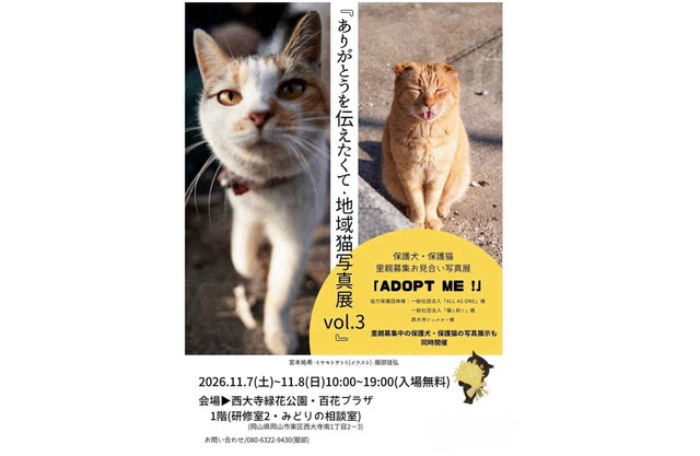 ありがとうを伝えたくて・地域猫写真展ｖol.3