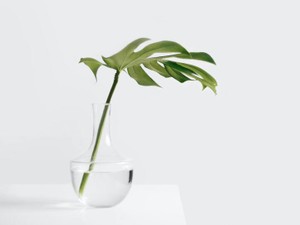 コロナ禍、看護師として就職。適応障害と診断され、人生の歩みを止めた