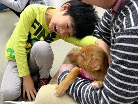 「みんなの協力で殺処分ゼロに」保護犬猫の譲渡会　広島・福山