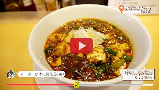 #402ガリデブチュウ