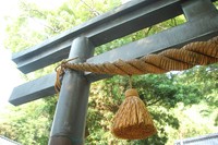 神社（画像はイメージ＝acchity/stock.adobe.com）