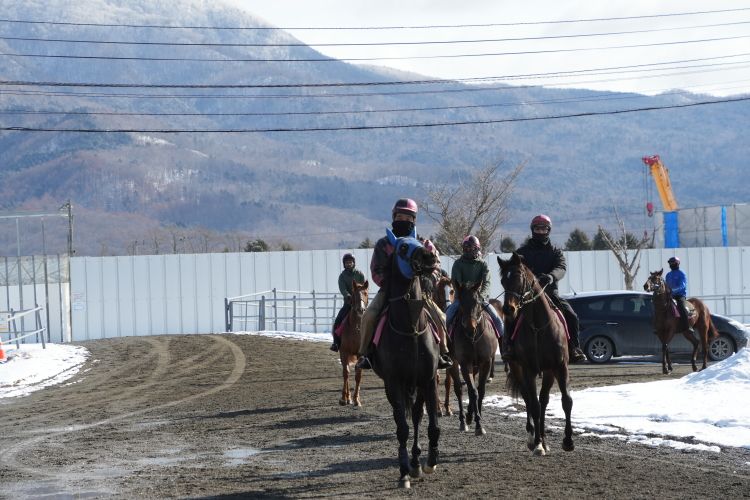 馬の存在が、町の独特な風景を生み出している=2026年2月19日、北海道浦河町、高久潤撮影