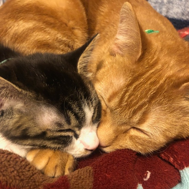 ずっと一緒だよ