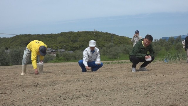 ごま栽培で地域活性化へ　土庄町長らが種まき　栽培面積は初年の約2倍に　香川・小豆島