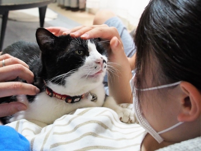 見つめ合う紗和さんとゴン太