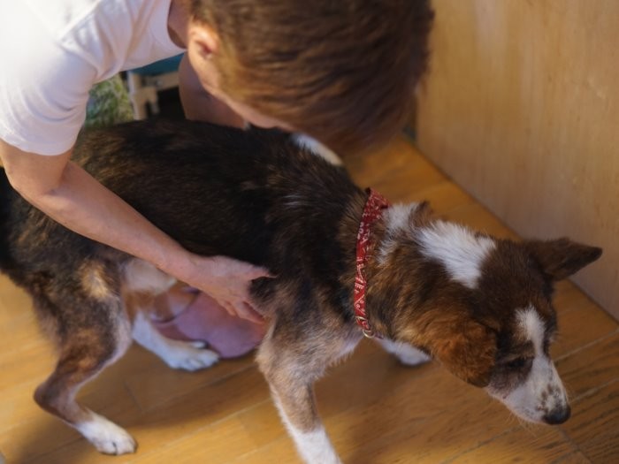 Ｙさんに支えられ、立ちあがるジロー