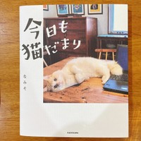 書籍「今日も猫だまり」（なみそ著）