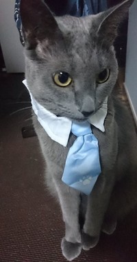 どんな人にも懐く子だった