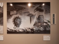 ナジ「愛を食らわば皿まで」のパネル　(C)2023 The Unknown Café Gallery Harajuku