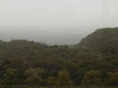 雨の釧路湿原　野生動物がすぐ近くにいるうれしさ