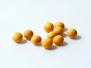 アメリカを抜いた、世界一の大豆生産国　増える消費の裏で森林が消えている