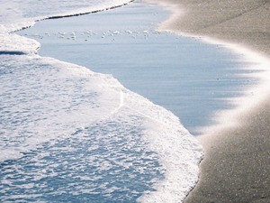 海外赴任が終わればまた事実婚へ。それでも私たちは紛れもない夫婦