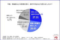 今夏、物価高などの影響を受け、旅行や外出などを控えましたか？（提供画像）