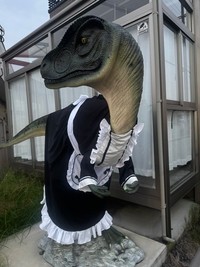 メイド服も人気のコスチュームのひとつ。可愛さましましです／魚の目（Lv.35）さん（@uonome5150）提供