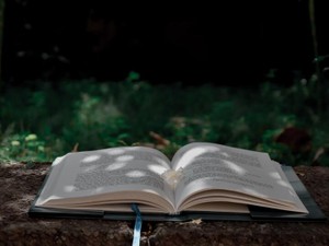 思い出した独特の「びょおびょお」。再会した作家の情景描写にひかれ