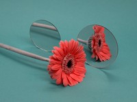 心が疲れたと感じている誰かへ。どうか身体の訴えに素直になって