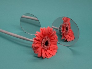 心が疲れたと感じている誰かへ。どうか身体の訴えに素直になって