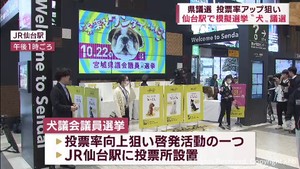 宮城県議会議員選挙　県内８９カ所で期日前投票　投票率アップ狙い「犬議選」投票も
