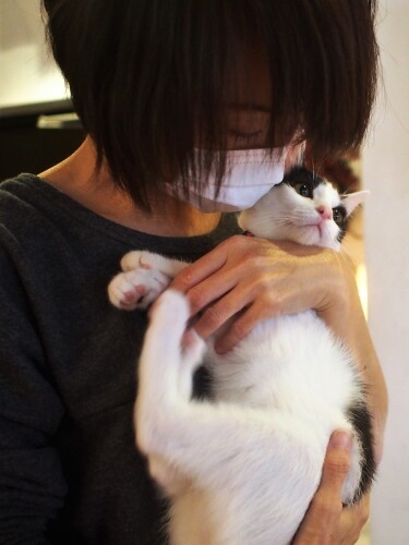 「人も猫も幸せに」。その約束を守るべく大人猫やエイズキャリア猫などの“よいご縁”もつなぎ続けている団体「goens」の代表みかさんと猫（佐竹茉莉子撮影、「猫との約束」より）