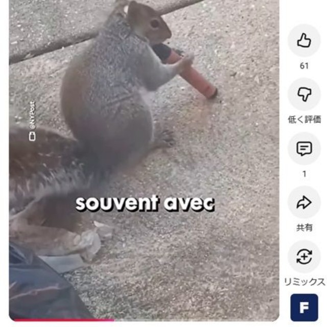 SNSに投稿された電子タバコをかじるリス