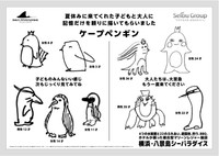 ケープペンギン／ 横浜・八景島シーパラダイス アニメ ゲーム部　公式Xより