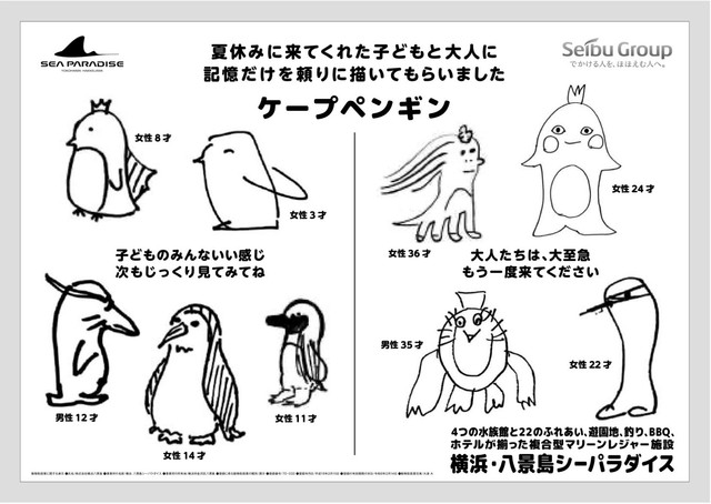 ケープペンギン／ 横浜・八景島シーパラダイス アニメ ゲーム部　公式Xより