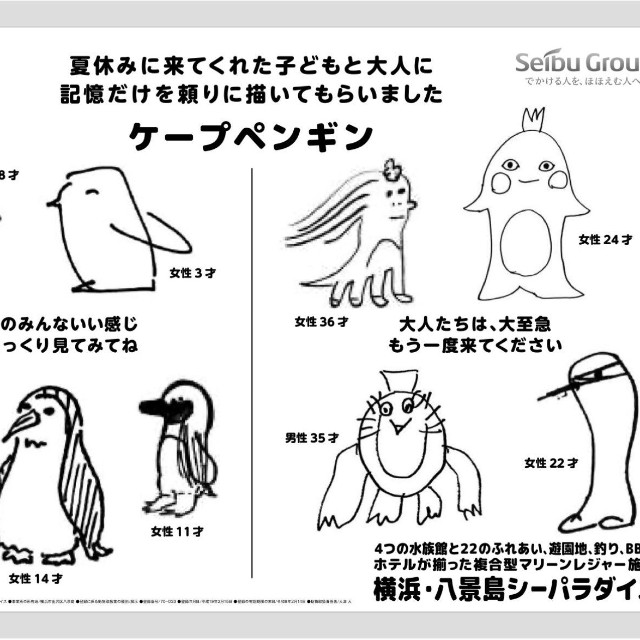 ケープペンギン／ 横浜・八景島シーパラダイス アニメ ゲーム部　公式Xより