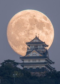 岐阜城と巨大な満月（提供：jigurohiro/photoさん）