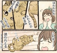 これは誘われとるーーー（うぐいす歌子さん提供）