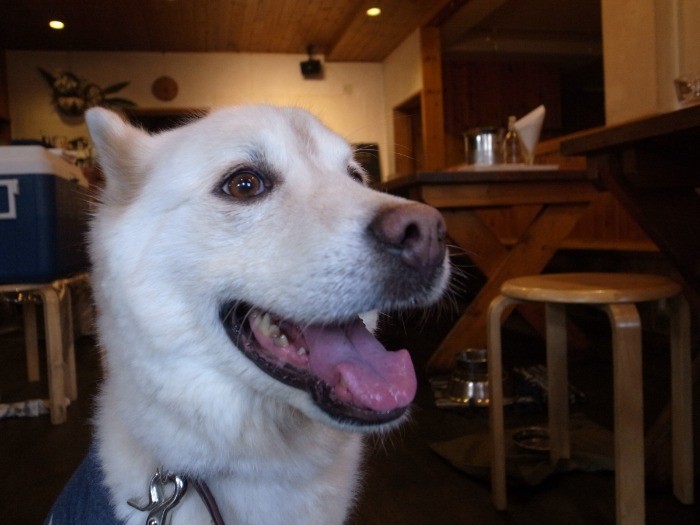 笑顔がとってもチャーミング