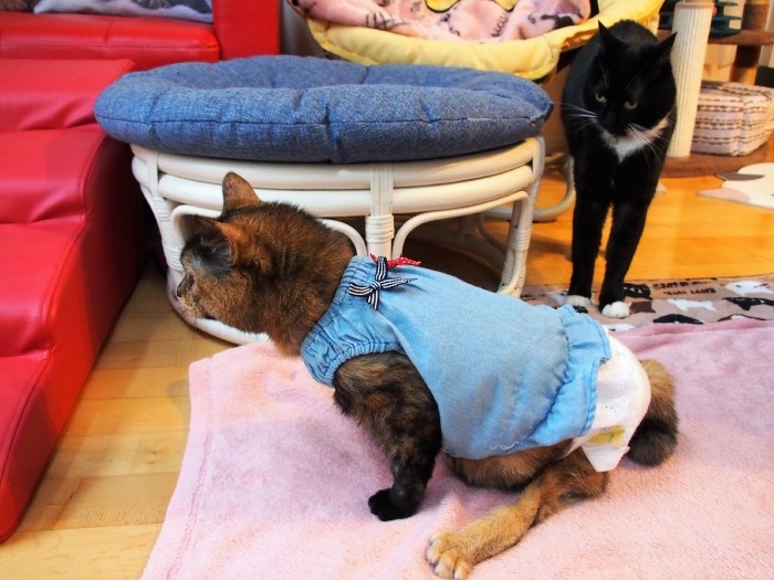 福ちゃんのことが大好きな優くん