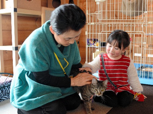 保護猫の命、救うカフェ　１６０匹の引き取り手、見つける