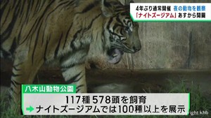 ４年ぶり通常開催　夜の動物園「ナイトズージアム」　仙台・八木山動物公園