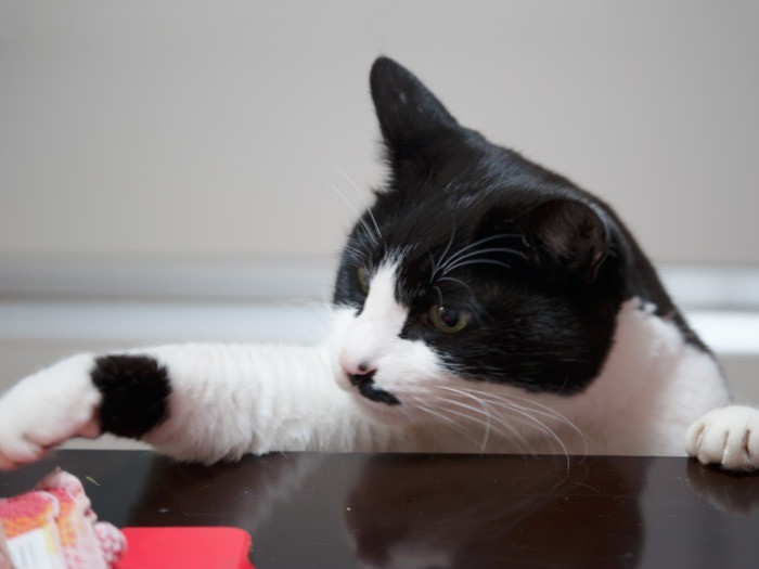 「赤い箱だからCABIN（たばこ）かと思ったらちがうじゃん」（小林写函撮影）