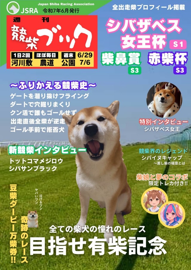 競馬ブックならぬ『競柴ブック』（画像提供：しばわんこさん）