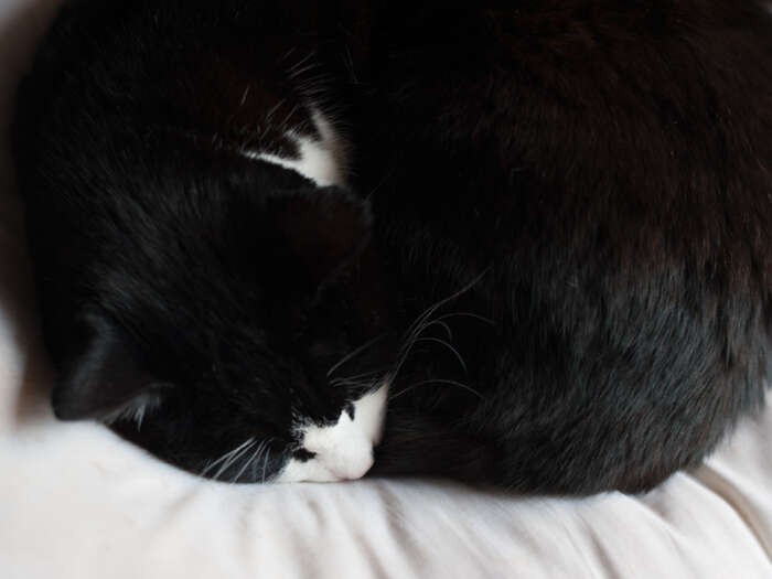 「おじちゃんのベッドは清潔だし温かい」（小林写函撮影）