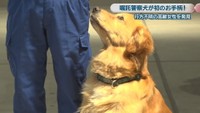 女性を発見した嘱託警察犬／ルイくん（5歳）