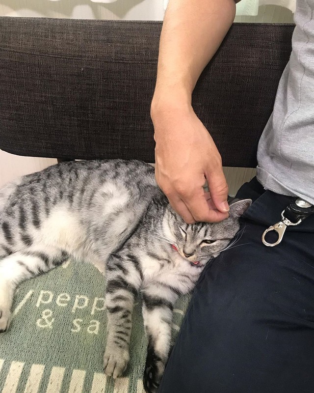 パパが一番好きにゃ