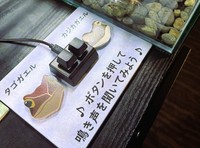それぞれの鳴き声を聞くことができる（提供:四国水族館）