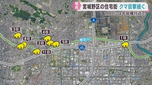 梅田川沿いの住宅地でクマ目撃が相次ぐ　１１日も橋の付近で「北の茂みに歩いていった」　仙台・宮城野区