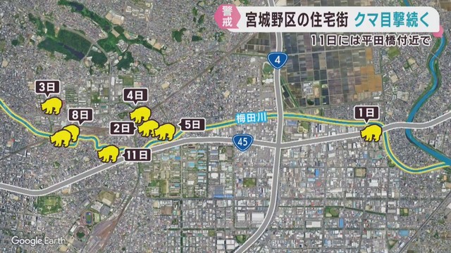 梅田川沿いの住宅地でクマ目撃が相次ぐ　１１日も橋の付近で「北の茂みに歩いていった」　仙台・宮城野区