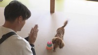 DOG SCHOOL ONE LIFE　岡山・南区中畝