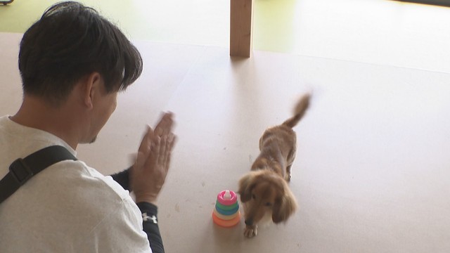 DOG SCHOOL ONE LIFE　岡山・南区中畝