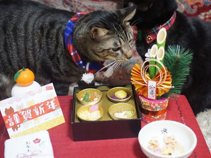 僕のもわけてね