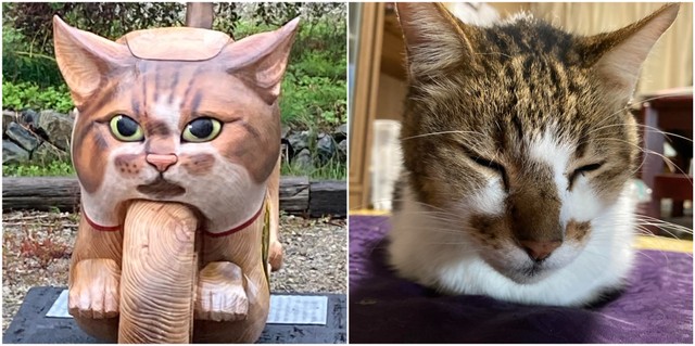 猫バイクを真正面からみると、寺の飼い猫「アウアウ」（写真右）にそっくり！（雲林寺提供）