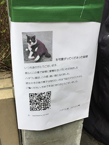 飼い猫にした後に宏美さんが貼ったお知らせ。近隣に住む筆者の知人はこれを読み「警戒心強かったによく保護できた！」と驚いていた。（宏美さん提供）