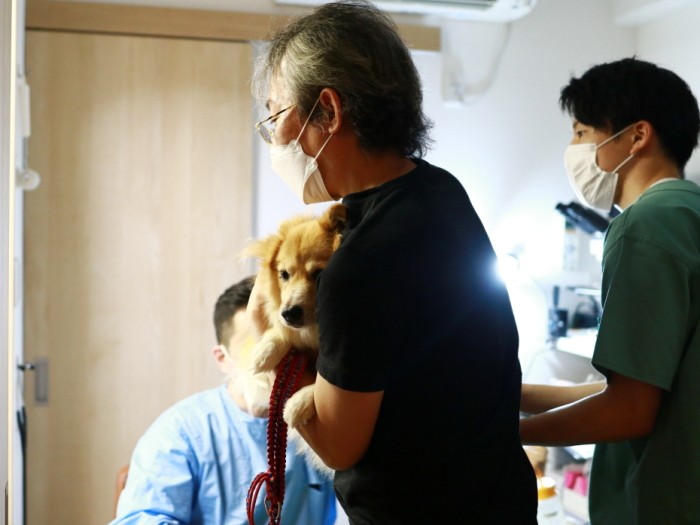 まったくじっとせずバタバタもがく福助