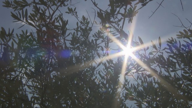 厳しい暑さ　岡山・香川に熱中症警戒アラート