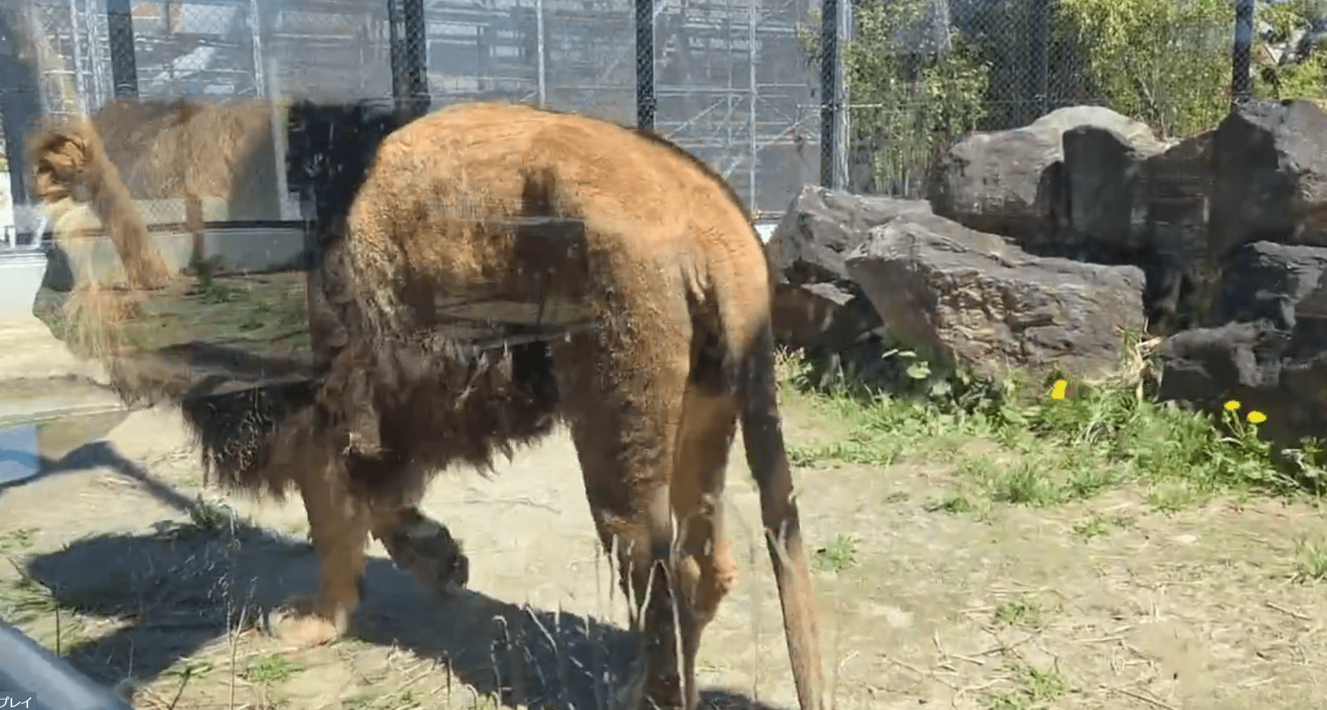 ガラスがびしょ濡れに