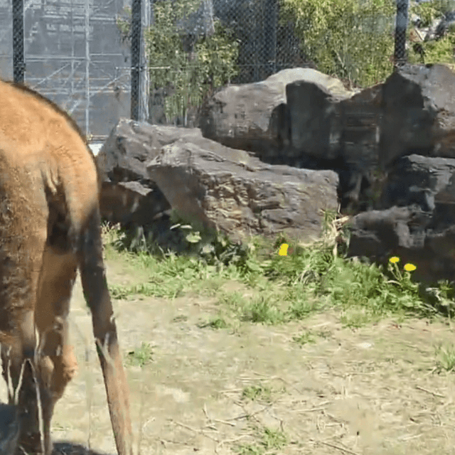 ガラスがびしょ濡れに